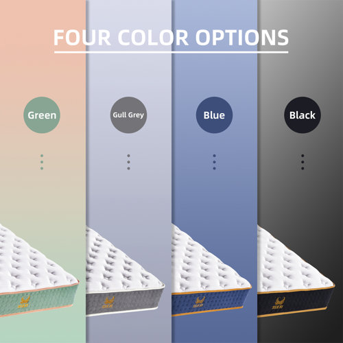 Alwyn Home Honolulu 12'' Medium Mattress & Reviews Wayfair